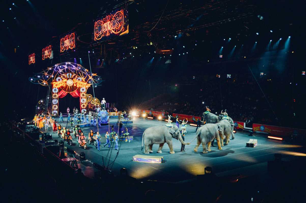 Experience Spectacular Circus Traditions that Transcend Borders